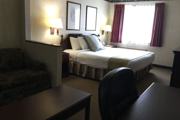 Deluxe Suite King Bed (7 of 9)