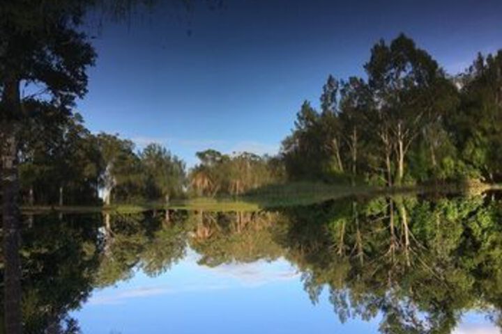 Property Grounds 42 of 46