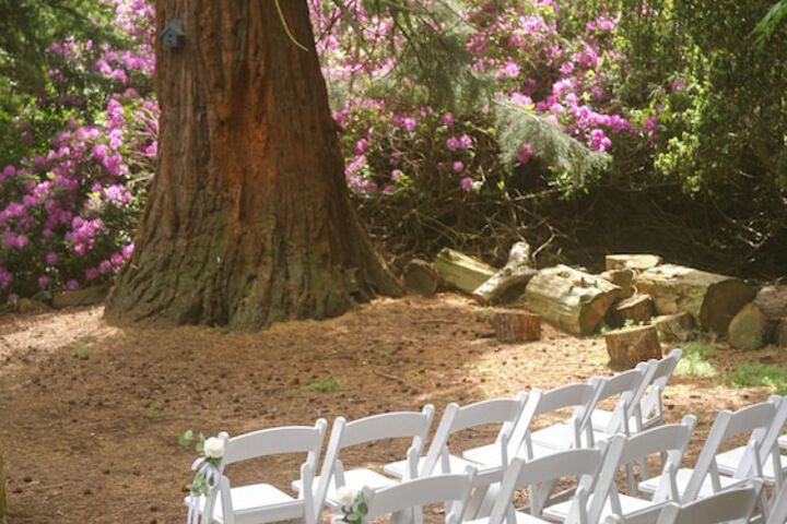 Wedding/Banquet 38 of 43