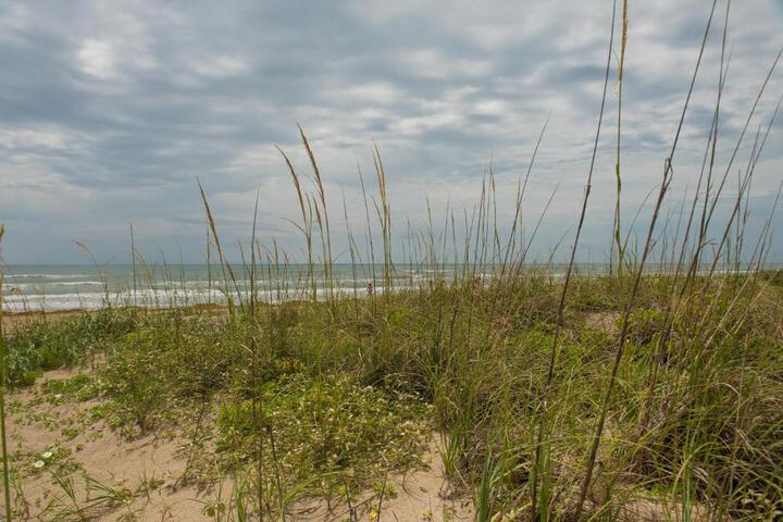 Photo of South Padre Island Beach Rentals
