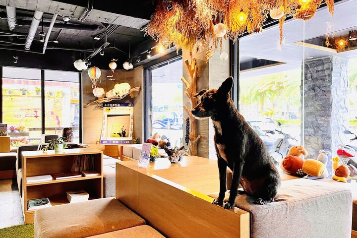 Pet Friendly 70 of 87