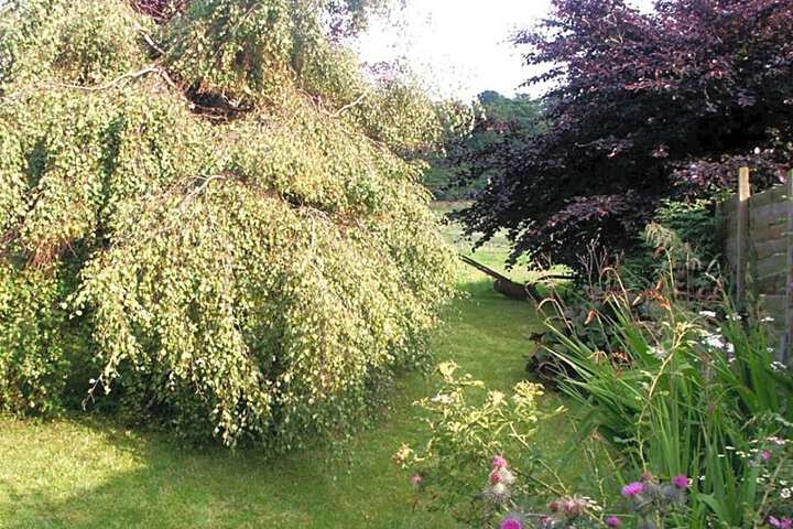 Spa and Wellness Pictures