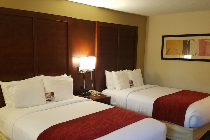 2 Double Beds (3 of 8)