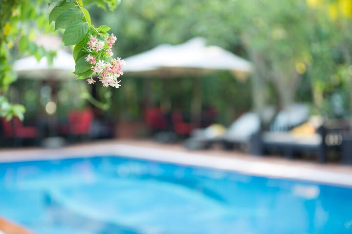 Pools & Facilities