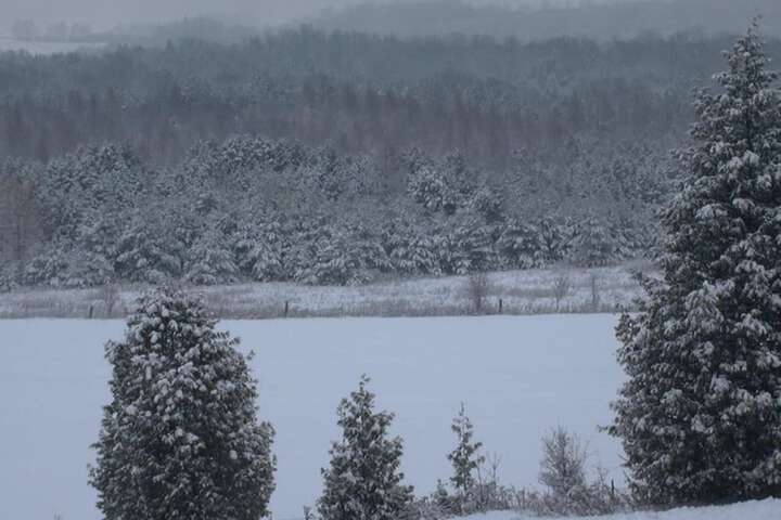 Property Grounds 34 of 52