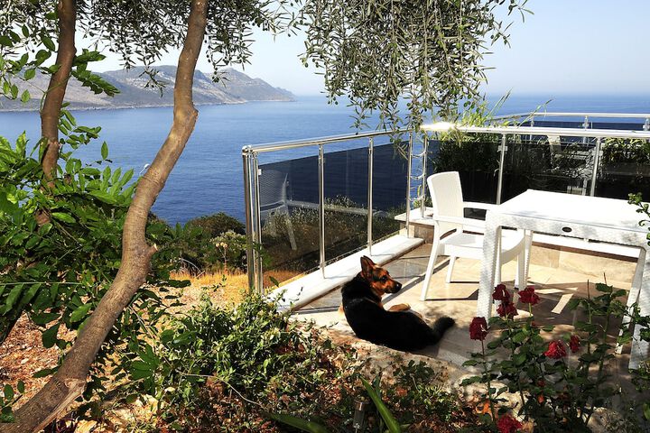Terrace/Patio 44 of 119