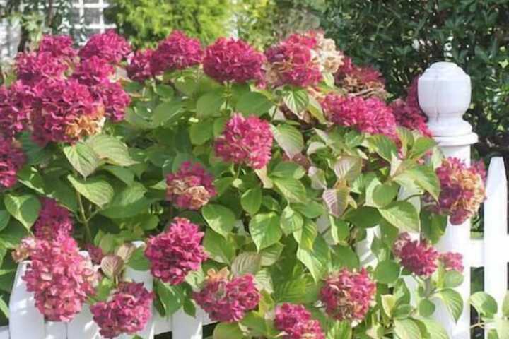 Hotel Exterior 42 of 55