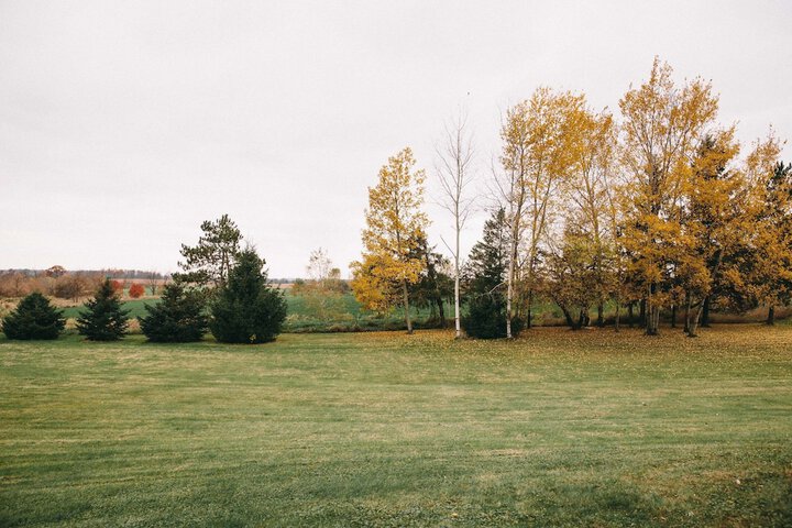 Property Grounds 17 of 20