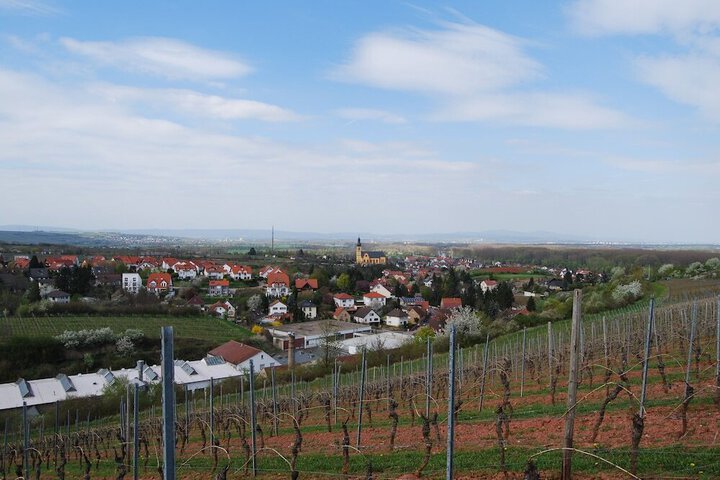Photo 12