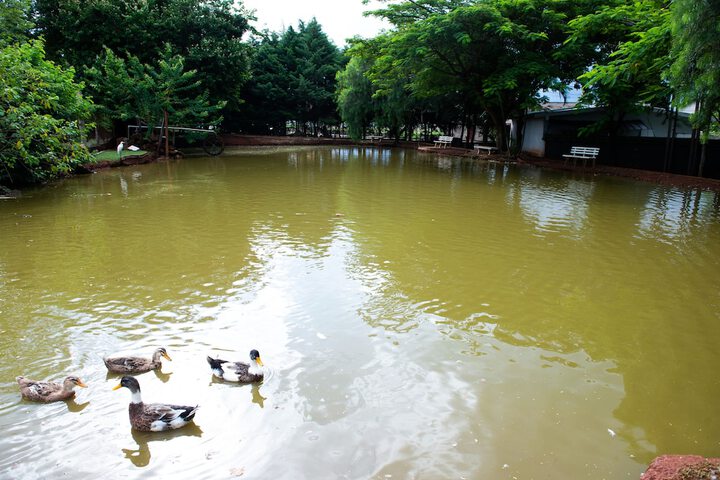 Hotel with Pool