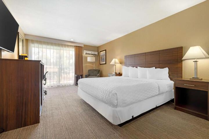 1 King Bed (12 of 20)