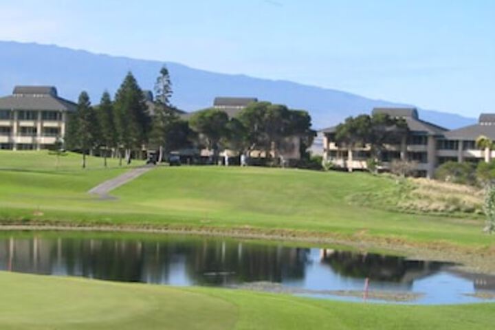 Golf 12 of 29