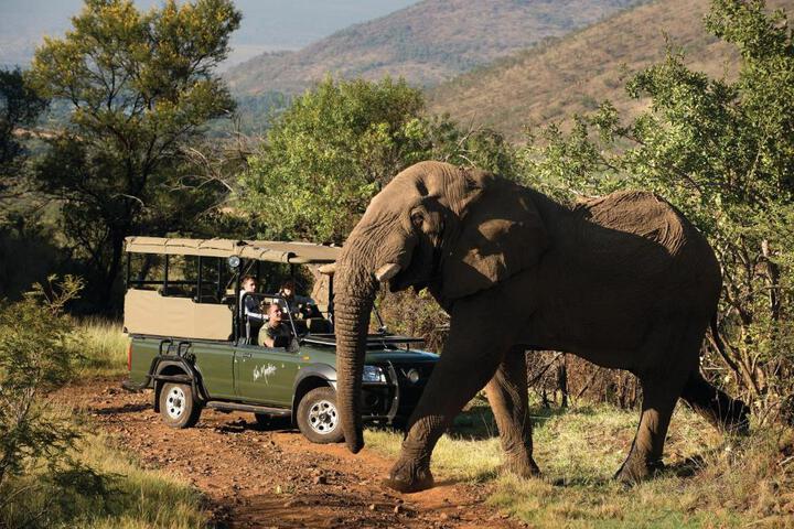Image of Kwa Maritane Lodge