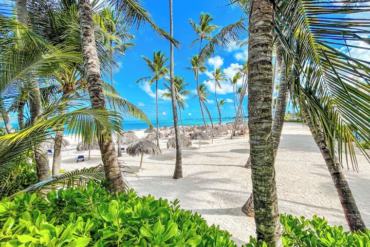 Beach 38 of 41