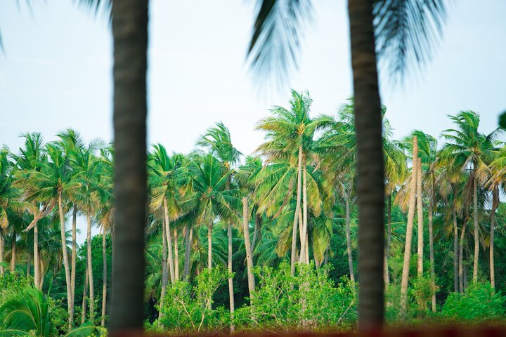 PEPY VEDHA FARMSTAY