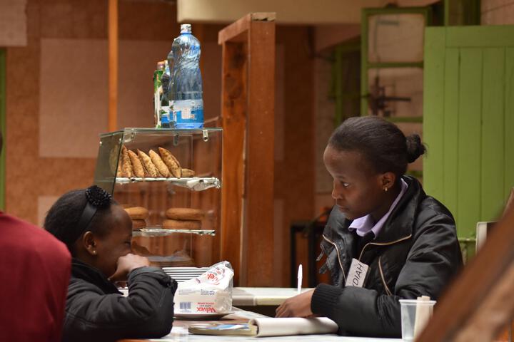 Ibis Nanyuki
