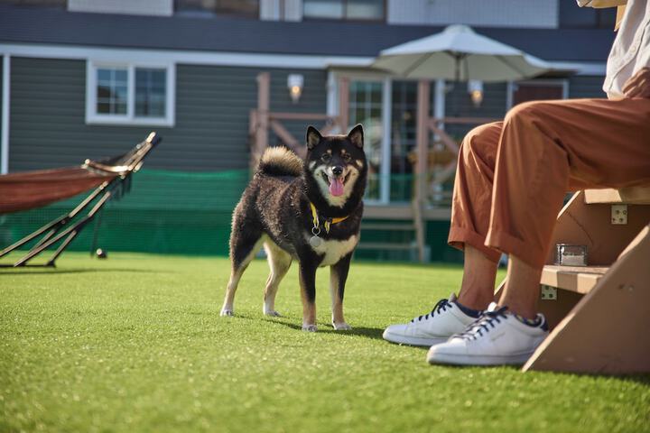 Pet Friendly 42 of 54