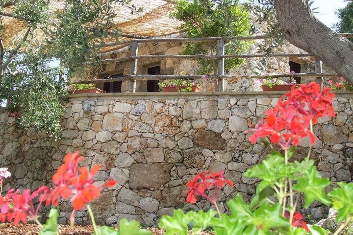 General 24 of 99