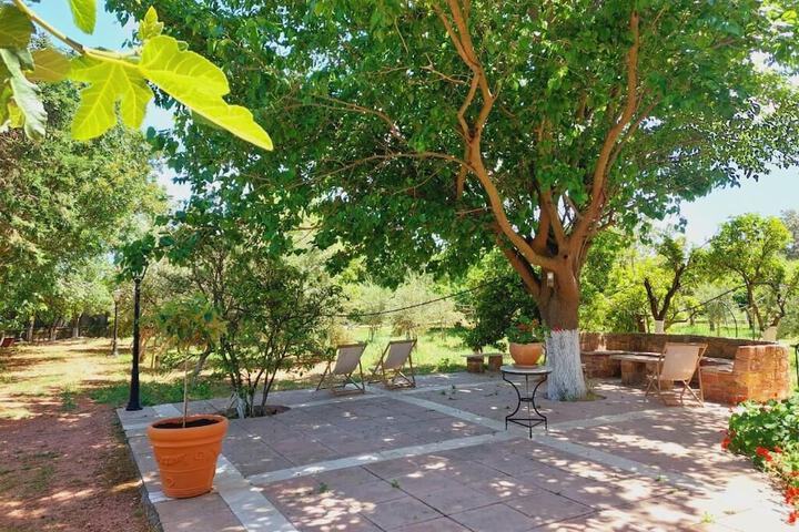 Terrace/Patio 88 of 91