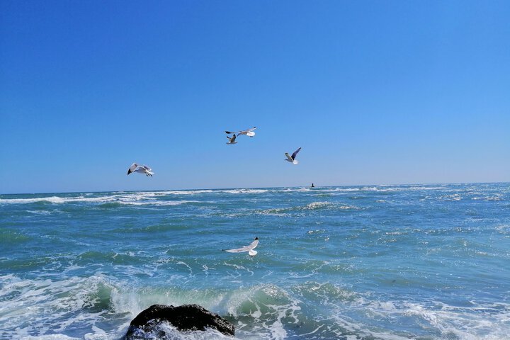 Beach 76 of 78