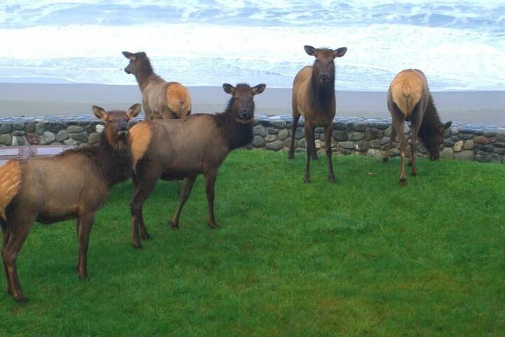 Property Grounds 33 of 43