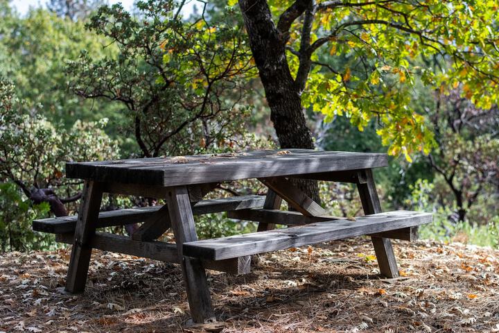 BBQ/picnic area