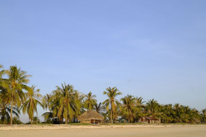 Beach 86 of 115