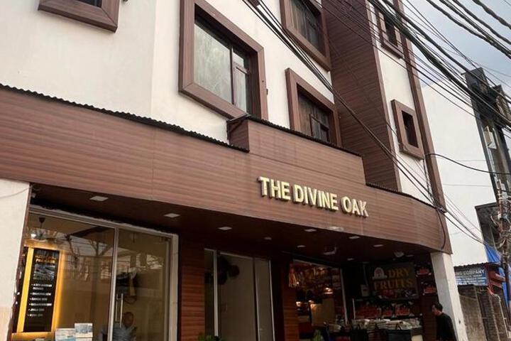 The Divine Oak