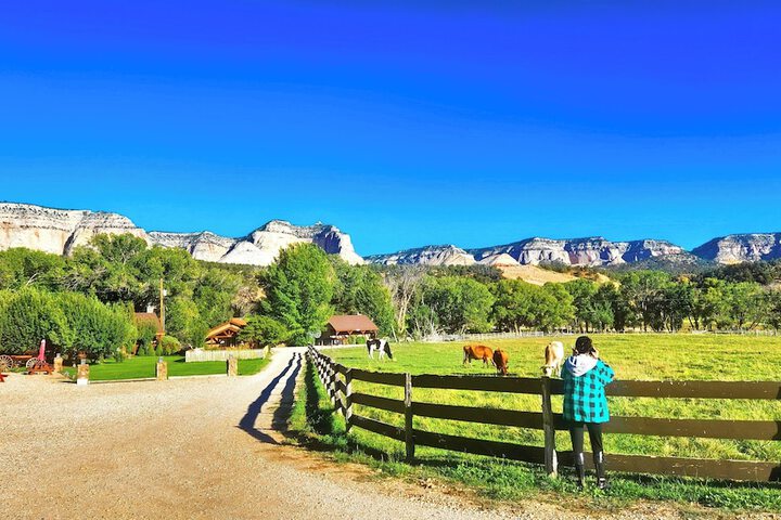 Arrowhead Country Cabins