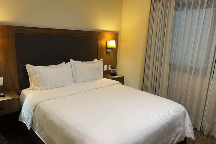 Room 14 of 84