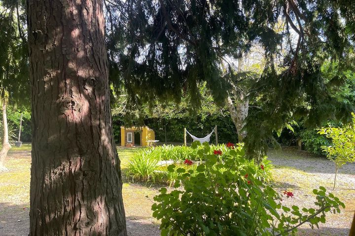 Property Grounds 24 of 49
