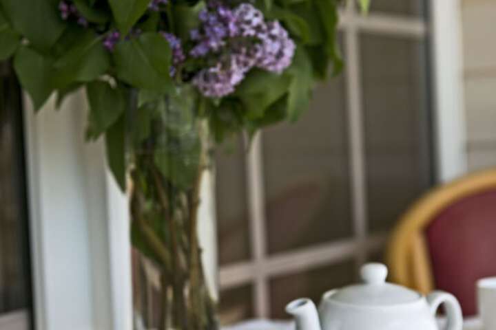 Breakfast/Coffee Service 15 of 37