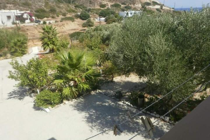Photo 30