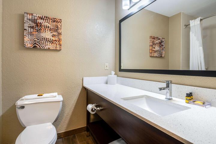 Accessible 1 King Mobility Accessible Bathtub Microwave and Refrigerator Full Breakfast (12 of 17)