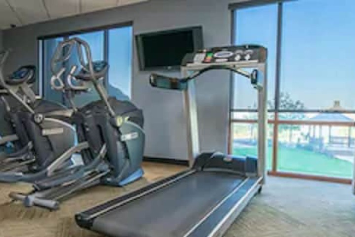 Gym & Fitness