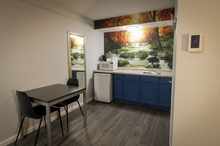 1 King Bed Pet Friendly Accessible (39 of 90)