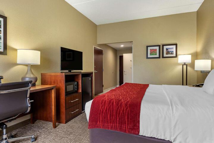 Standard King Bed Accessible (1 of 14)