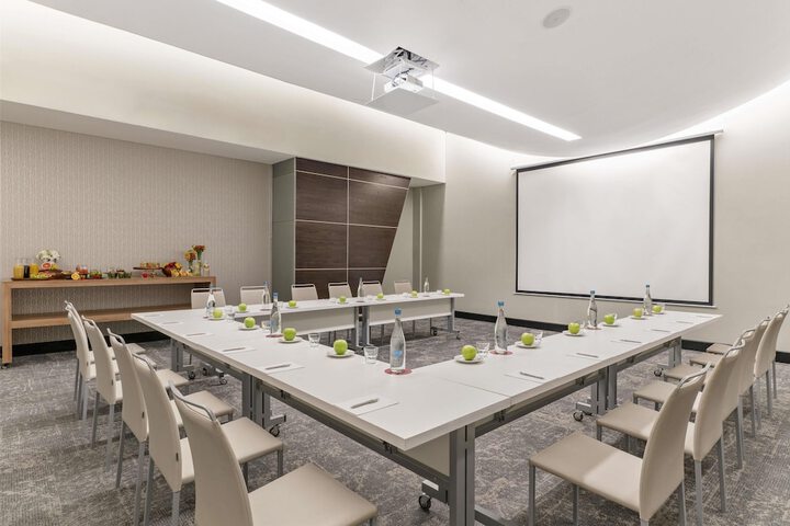 Meeting 45 of 70