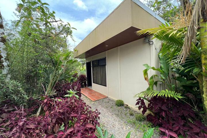 Hotel Rio Celeste to Know