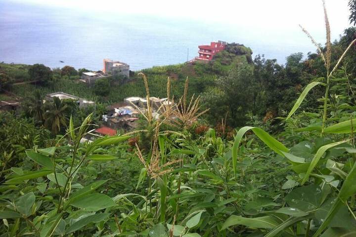 Property Grounds 22 of 29
