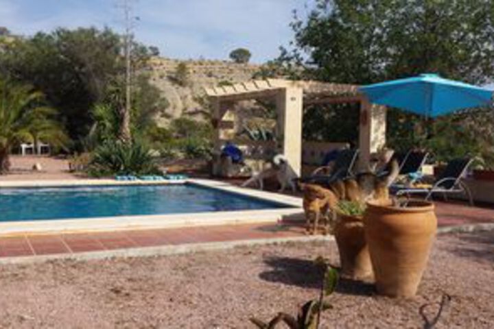 Pool 17 of 20