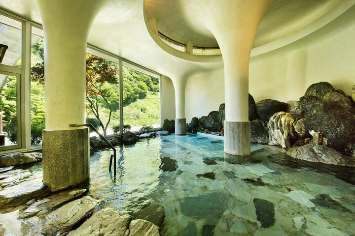 Wellness Treatments