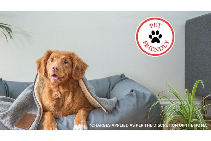 Pet-friendly