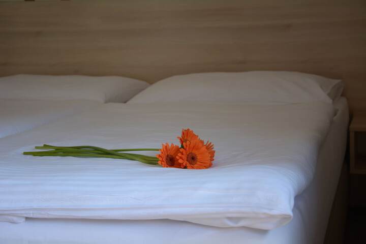 Room 4 of 37