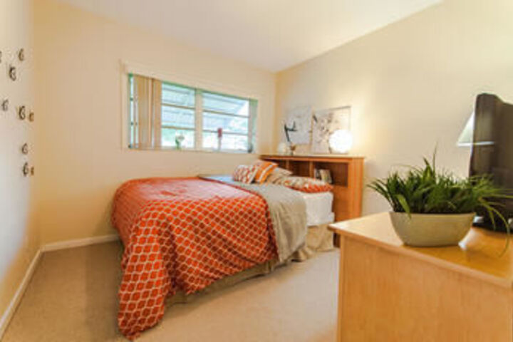 Room 165 of 524