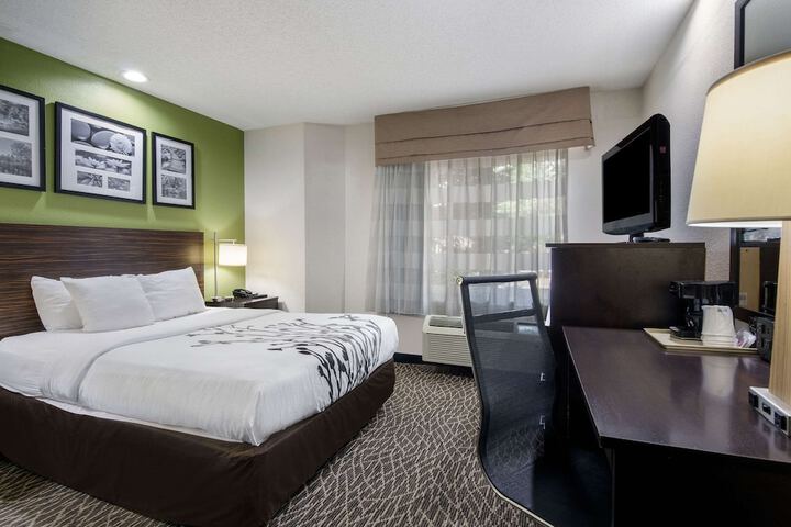 1 Queen Bed Accessible (6 of 12)