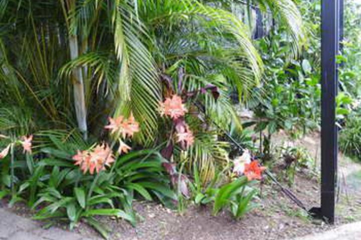 Hotel Exterior 8 of 22