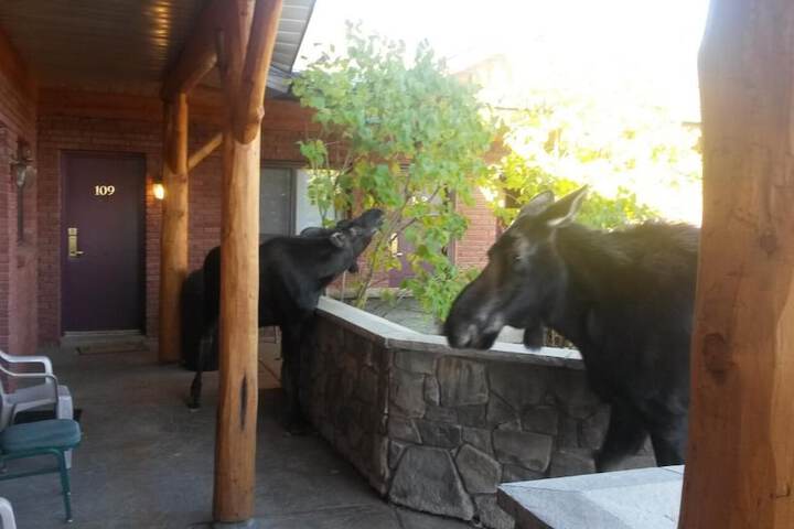Property Grounds 22 of 27