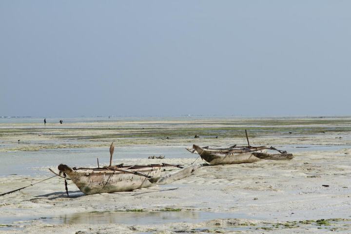 Beach 55 of 64