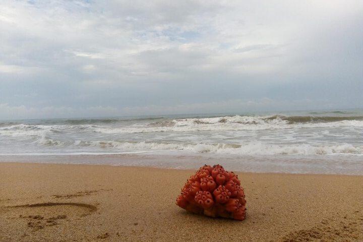 Beach 10 of 13
